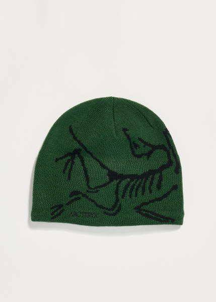 ARC’TERYX Bird Head Toque グリーン Arc'teryx Bird Head Toque