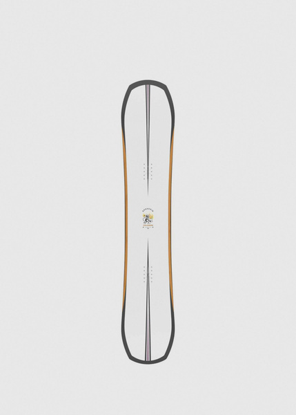Salomon Snowboards Assassin Snowboard