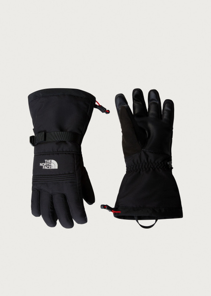 Montana Pro GORE-TEX® Glove 【North Face】 The North Face Montana Ski Gloves