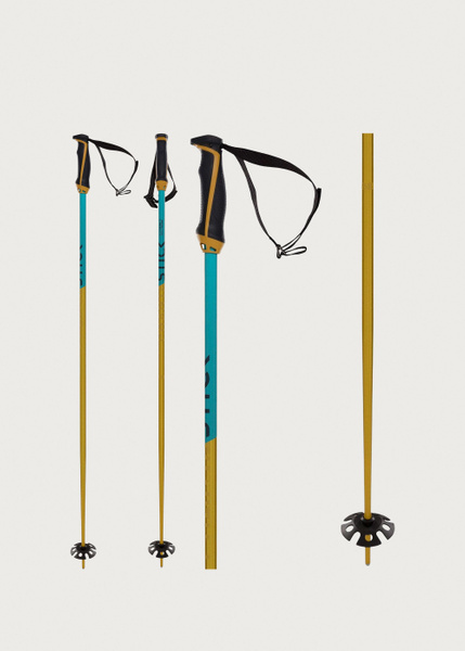 Volkl Phantastick 18mm Ski Poles